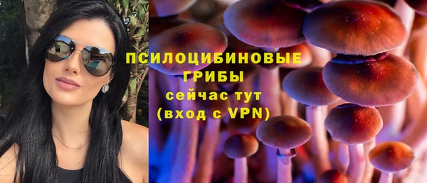 спиды Алексин