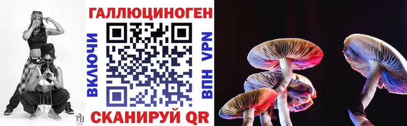 Купить Куйбышев Псилоцибиновые грибы ЛСД